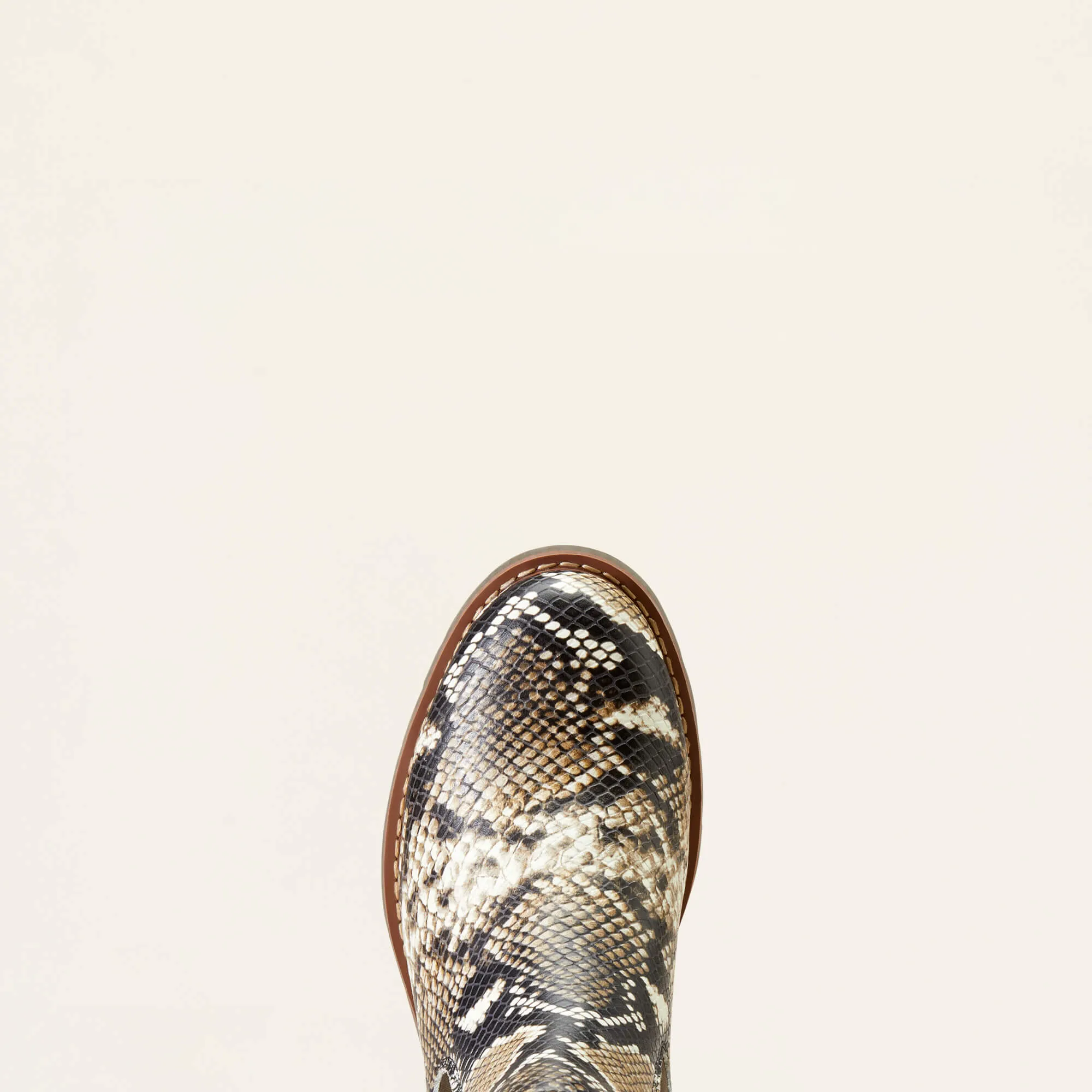 ARIAT WOMEN'S Style No. 10046975 Wexford Boot SNAKE PRINT