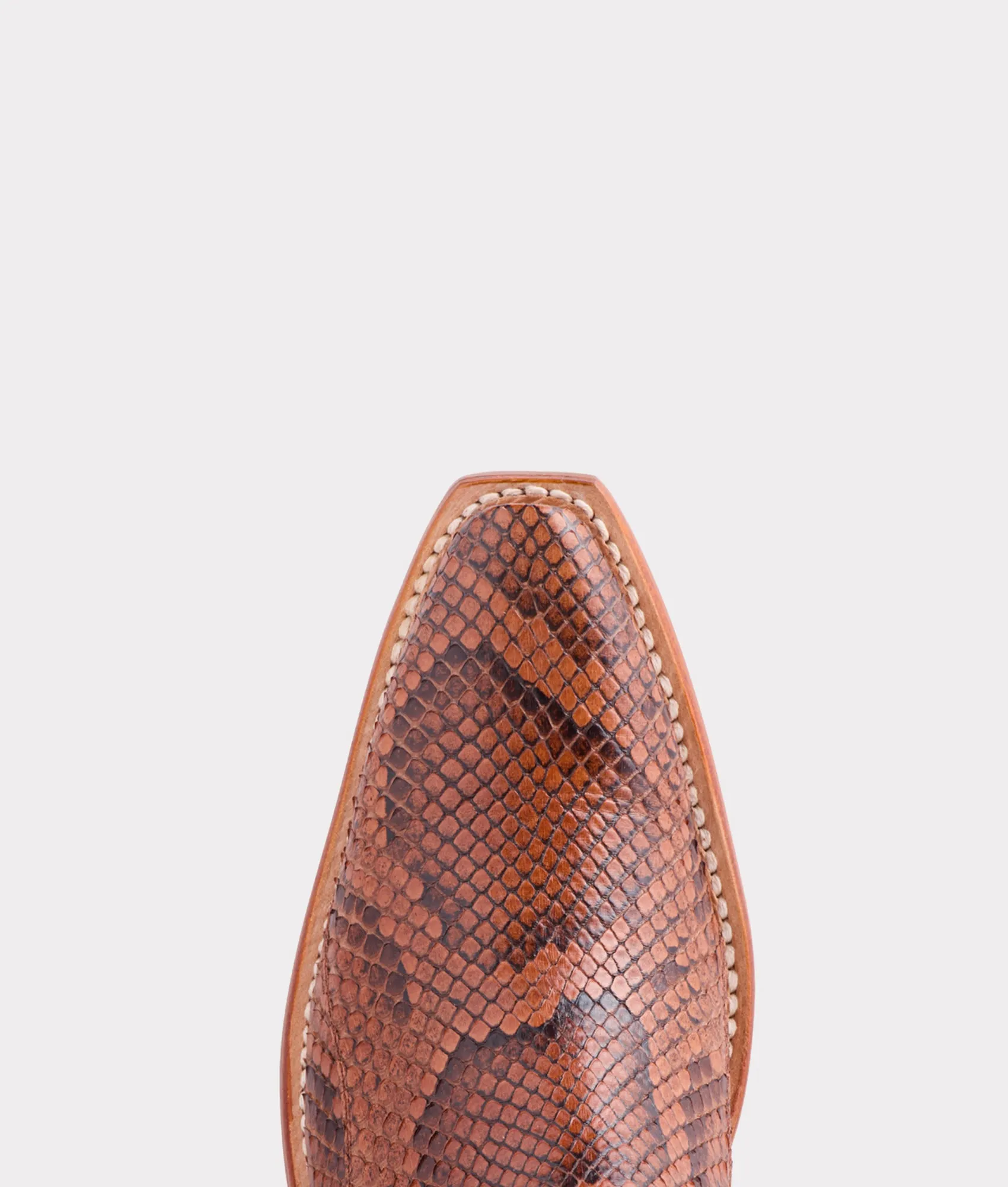 Dale Exotic :: Amber