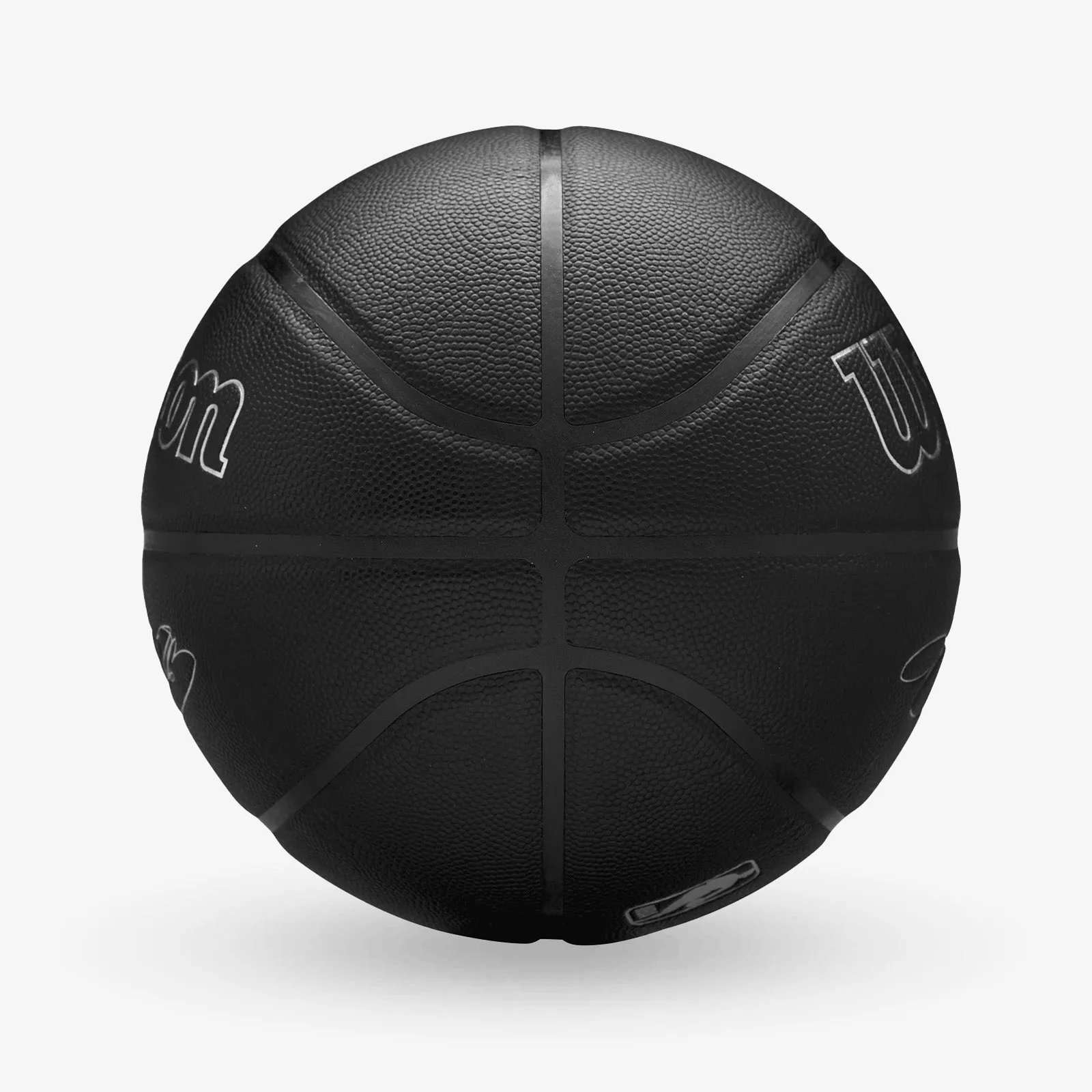 LeBron James NBA Player Evergreen Basketball - Black - Size 7