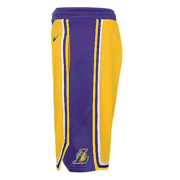 NIKE BOYS ICON SWINGMAN SHORT Short de basketball enfant NBA