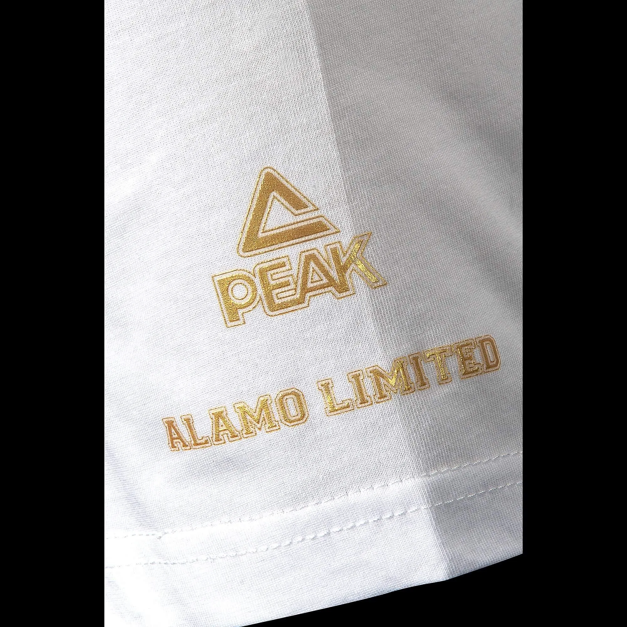 Peak Basketball Shoes TP-9 II Alamo Set (Limited Edition)