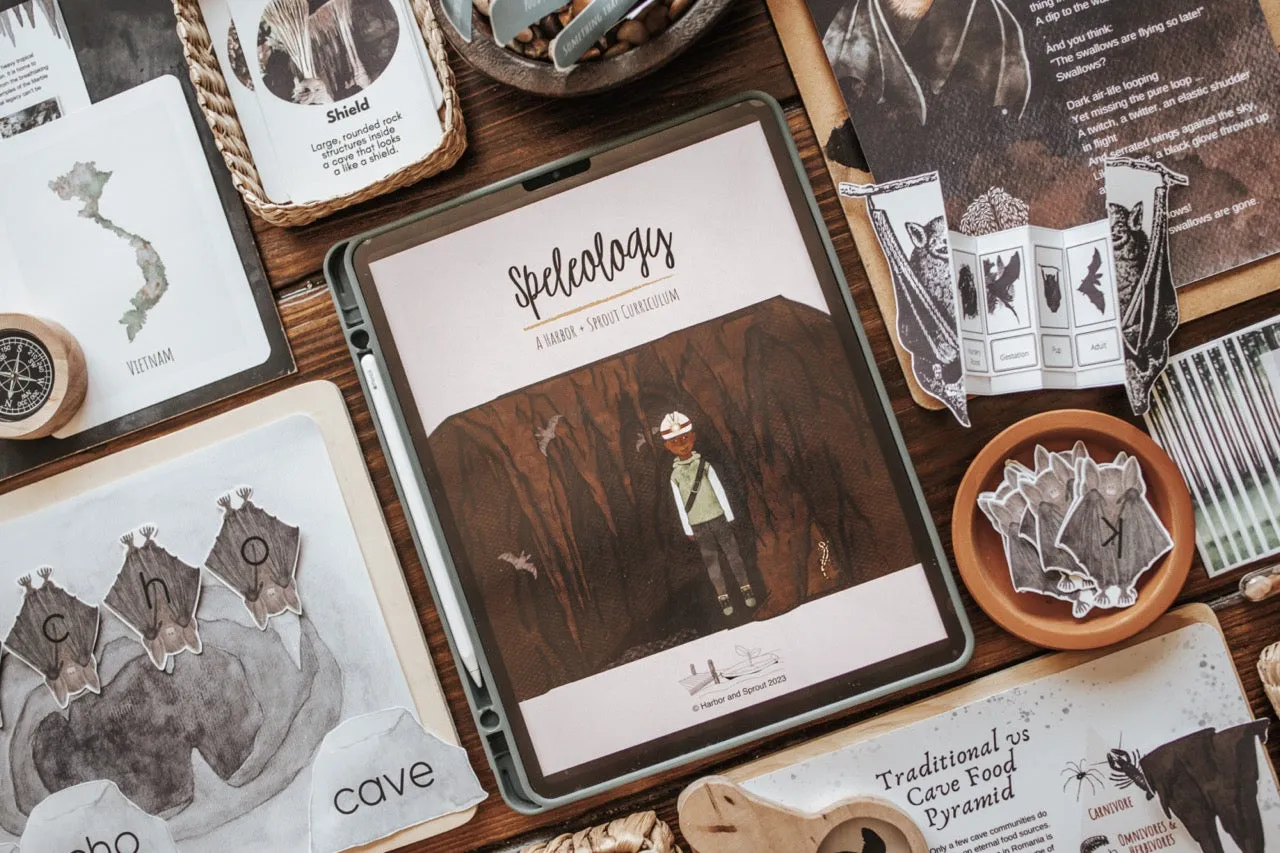 Speleology & Caves Patchwork Study