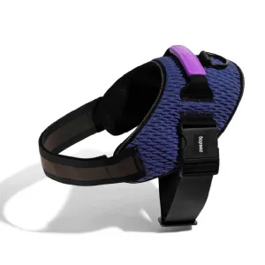 Zee.Dog FlyHarness | Wicked